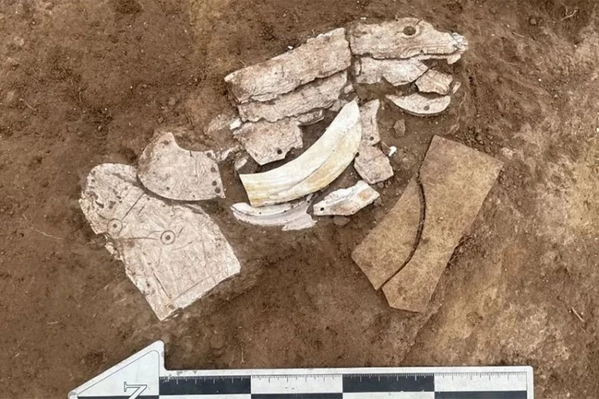 В Китае археологи обнаружили дракона, сделанного из раковин мидий