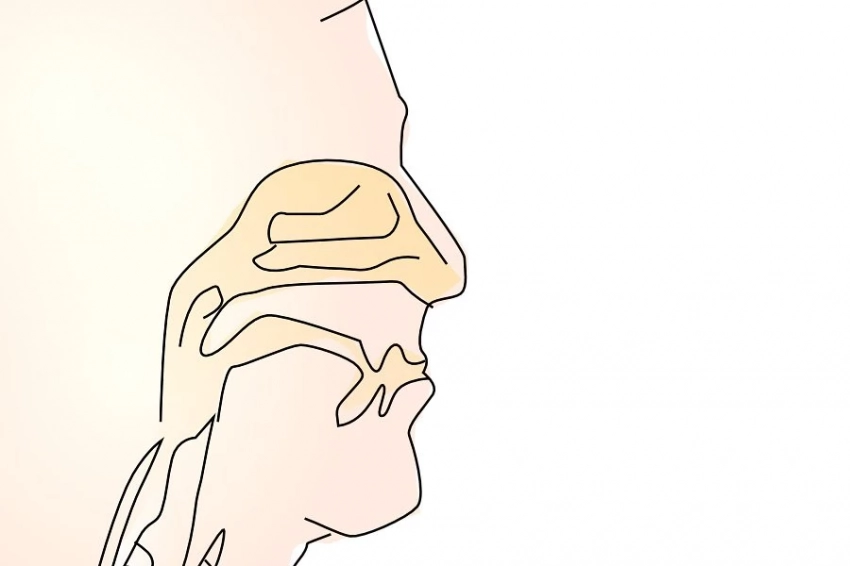 В Первом МГМУ создан тест для измерения обоняния