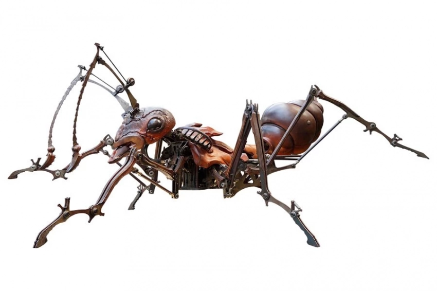 PeerJ: Австралийские учёные обнаружили новое свойство муравьиного меда