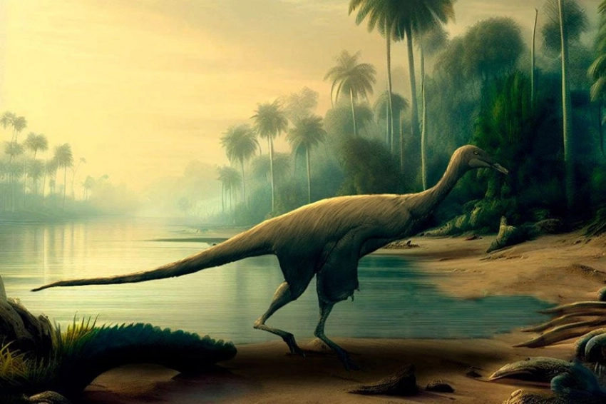 В Японии обнаружен новый вид «динозавров-страусов»