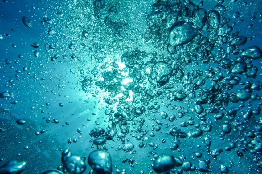 Бутилированная вода или фильтры: что выбрать для здоровой жизни?