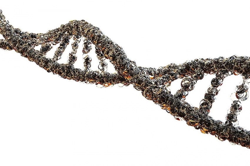 Nature: «круговая логика» РНК дает новое представление о болезни Паркинсона