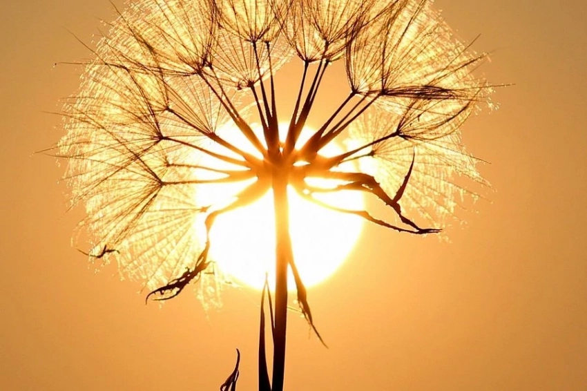 Созданные учёными новые, настраиваемые лазером, наночастицы «приручат» энергию Солнца