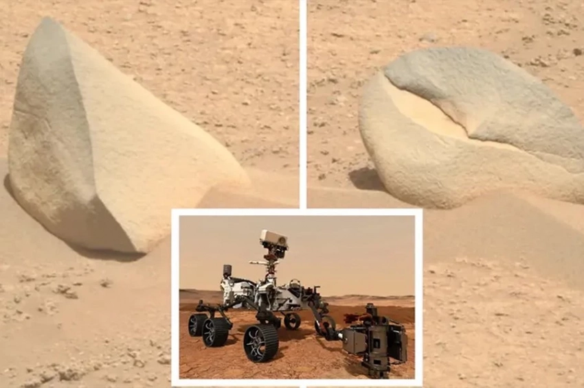 Марсоход Perseverance обнаружил на Марсе акулий плавник и крабовую клешню