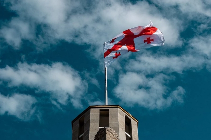 Сторонники Саакашвили в Грузии выбрали себе нового кумира