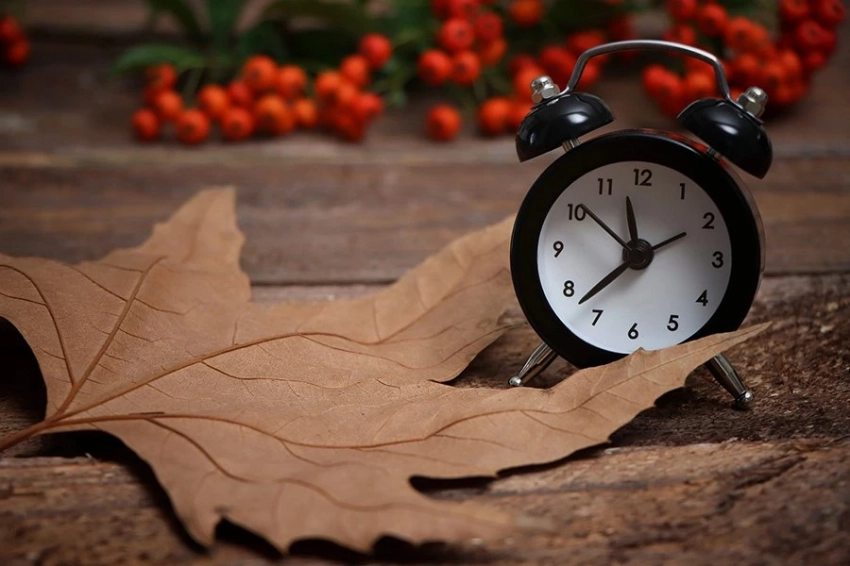 Исследование: «совы» имеют более высокий риск заболеть диабетом 