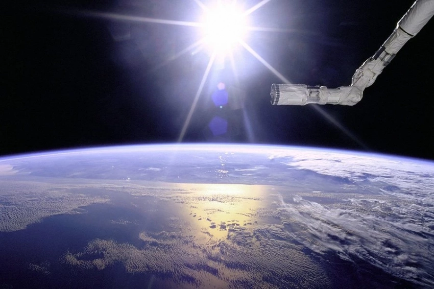 Чайный гриб может быть ключом к выживанию людей за пределами Земли