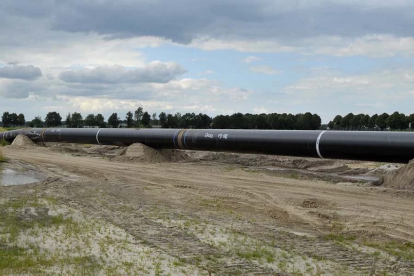 Насосы, которые бьются как сердце, могут повысить энергоэффективность