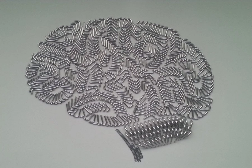 Эксперты назвали продукты MIND-диеты, помогающей работе мозга