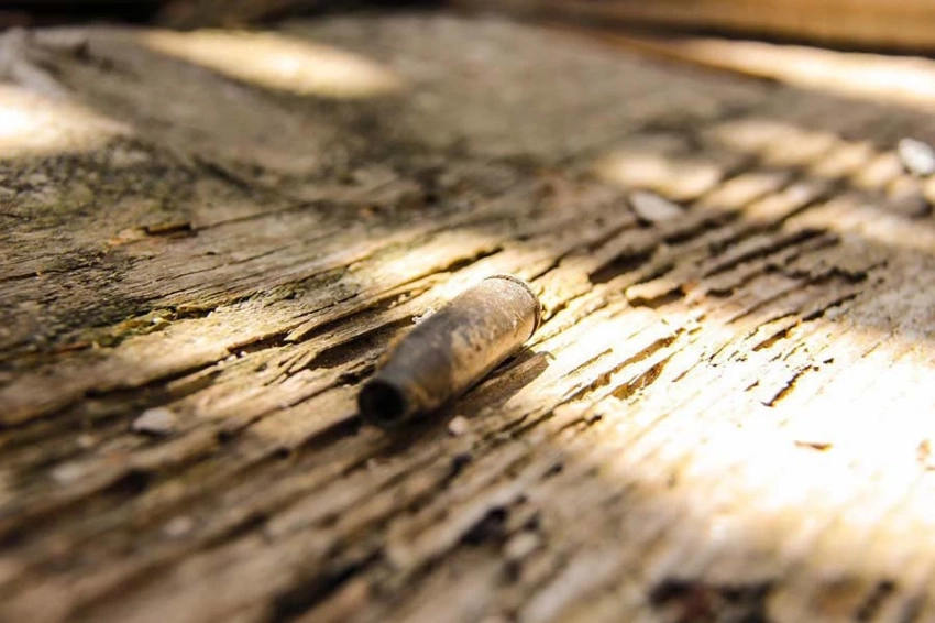 На юге Израиля найдены тела 260 участников музыкального фестиваля Nature Party