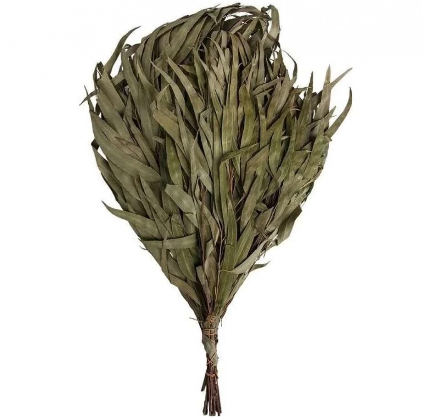 Рейтинг веников для бани