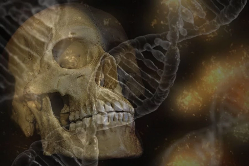 Варианты генов неандертальцев, могут определять, насколько человек чувствителен к боли