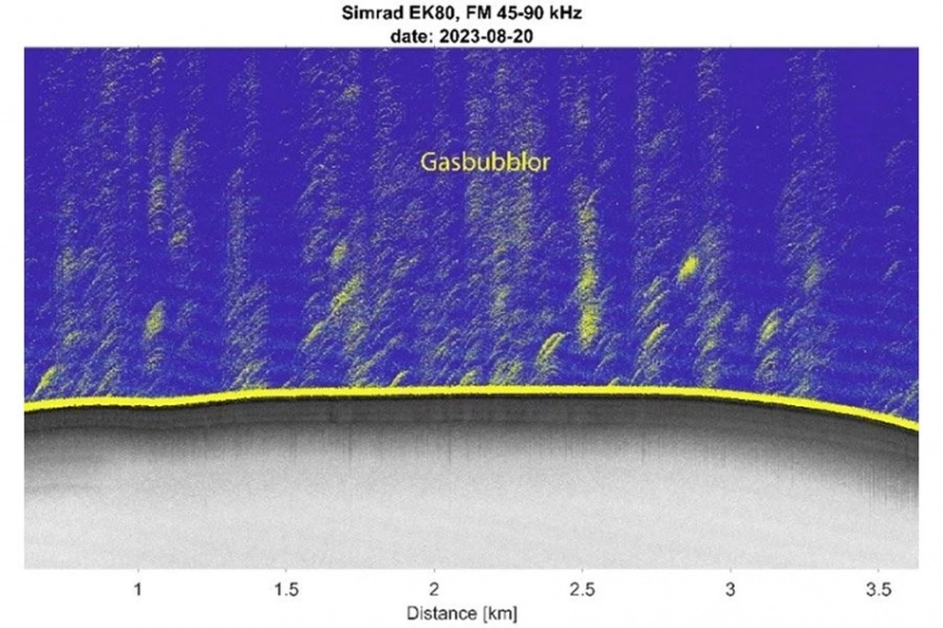В самой глубокой точке Балтийского моря обнаружена странная утечка метана, которая поставила ученых в тупик