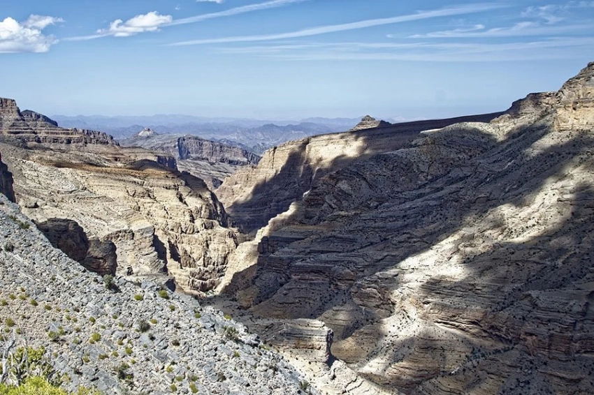 На новом южноамериканском участке обнаружены необычайные окаменелости конца эпохи динозавров