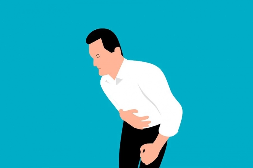 EMBOpress: учёные выявили механизмы воспаления кишечника из-за микроорганизмов