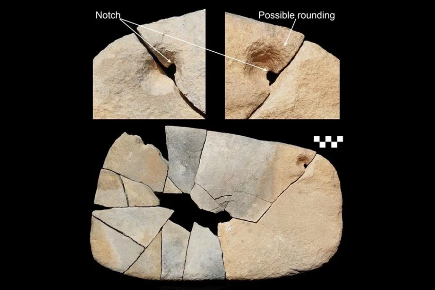 Анализ шлифовальных инструментов выявил обработку растений, пигментов и костей в эпоху неолита Северной Саудовской Аравии