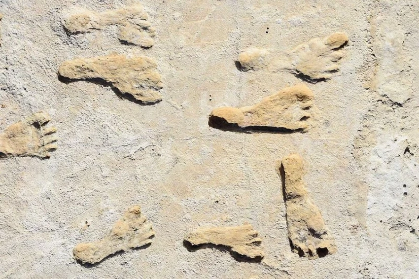 Самые старые известные следы Северной Америки указывают на более раннее прибытие человека на континент