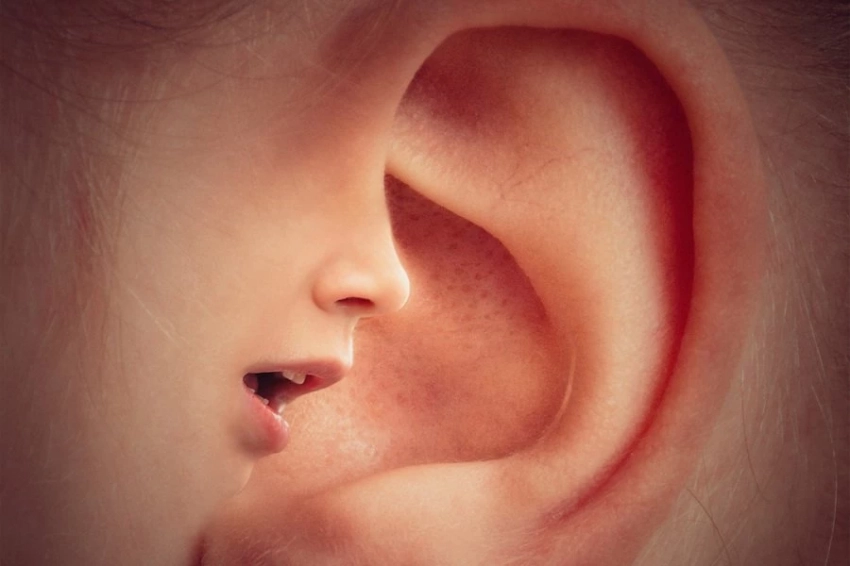 Биологи изучают новое направление в лечении потери слуха