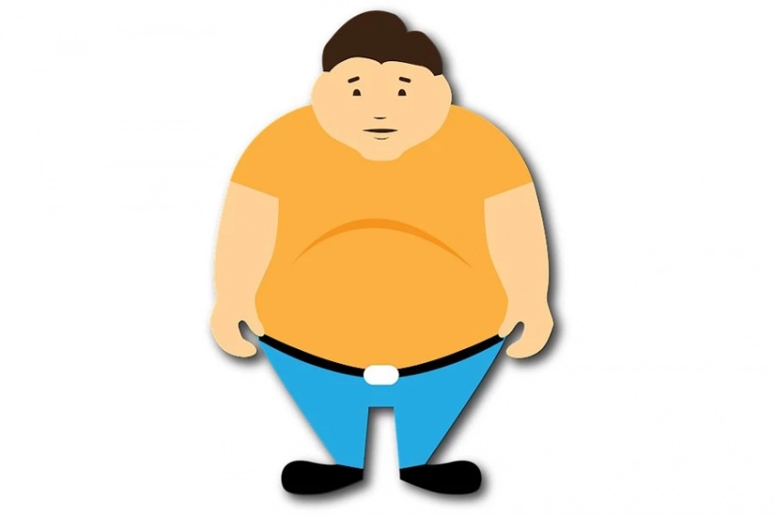 BMJ: тягу к вредной пище снизят неперевариваемые пищевые волокна