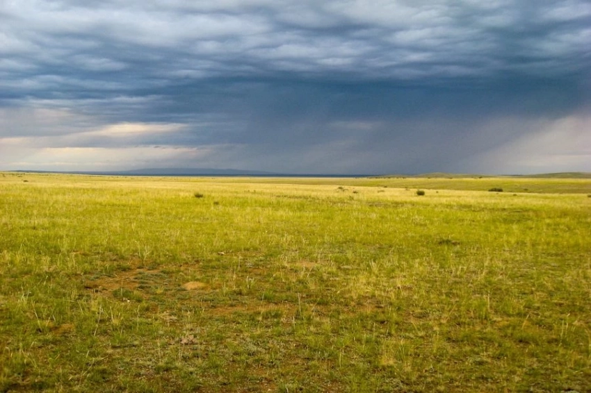 Испанские учёные раскрыли тайну «Ведьминых Кругов»