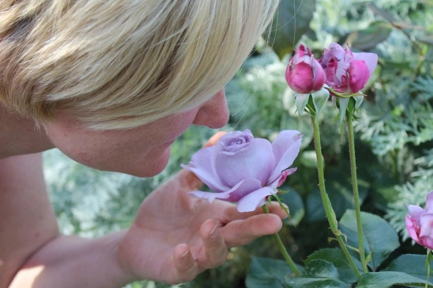 Учёные выявили связь обоняния с ориентацией в пространстве