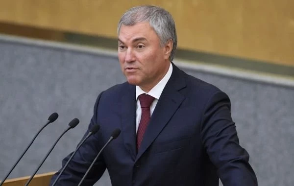 Вячеслав Володин заявил, что релокантов в России никто не ждет с объятиями 