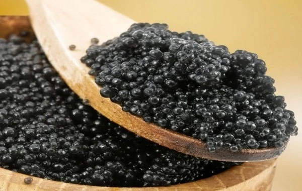 Кубанские студенты запатентовали технологию создания искусственной черной икры 