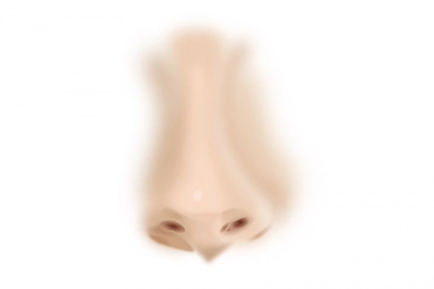 Ученые выявили, что каждая ноздря человека воспринимает свой, уникальный запах