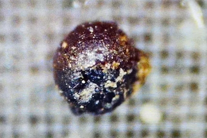 «Инопланетные» шарики, извлеченные из Тихого океана, вероятно, являются просто промышленным загрязнением