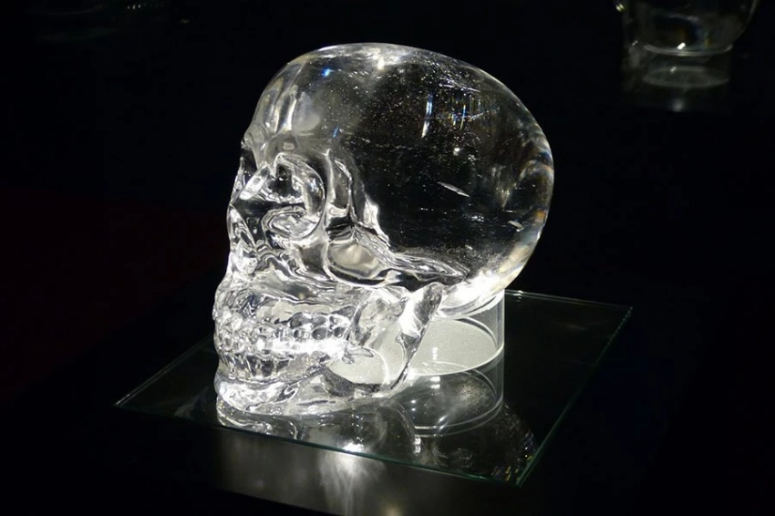 Ученые раскрыли сложную генетику, лежащую в основе формы свода черепа человека