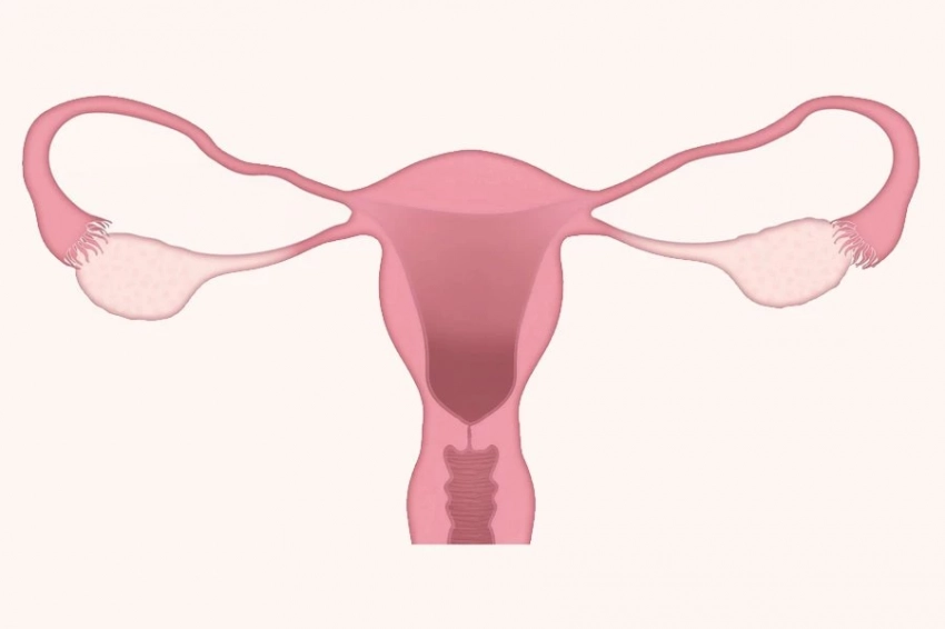 AHA: болезненные менструации связаны с риском заболеваний сердца
