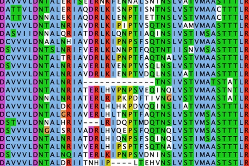 Депрессию и шизофрению и человечество унаследовало от денисовцев