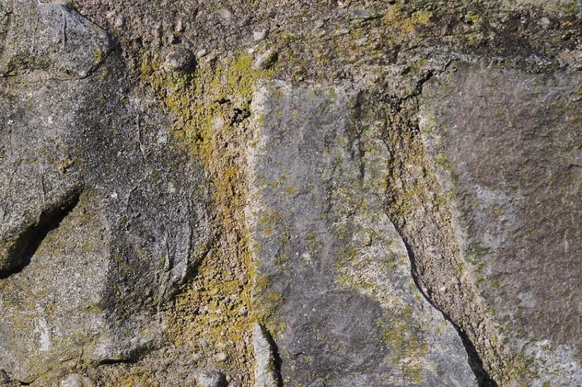 Редкая опухоль с зубами обнаружена в египетском захоронении 3000 лет назад