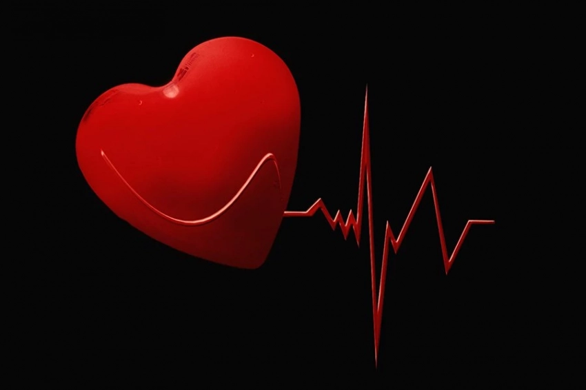 Антитела к коровьему молоку связаны с повышенным риском смерти от сердечно-сосудистых заболеваний