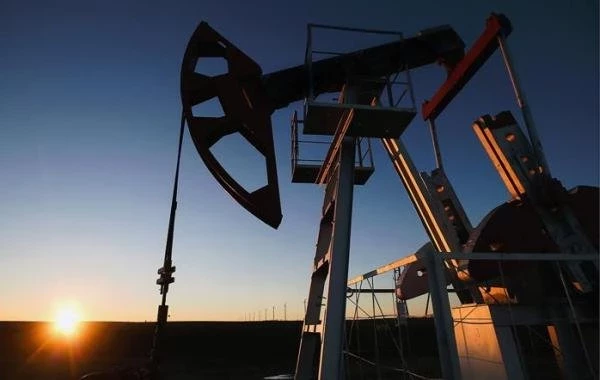 Бразилия присоединится к ОПЕК+ в январе 2024 года 