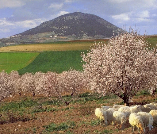 Яблочный Спас 2025: что означает этот праздник, духовный смысл