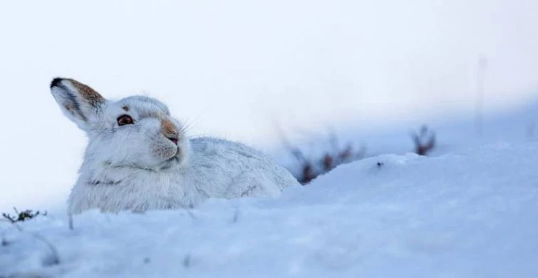 Мужчины с именем Антон празднуют день Ангела 30 января 2025 года