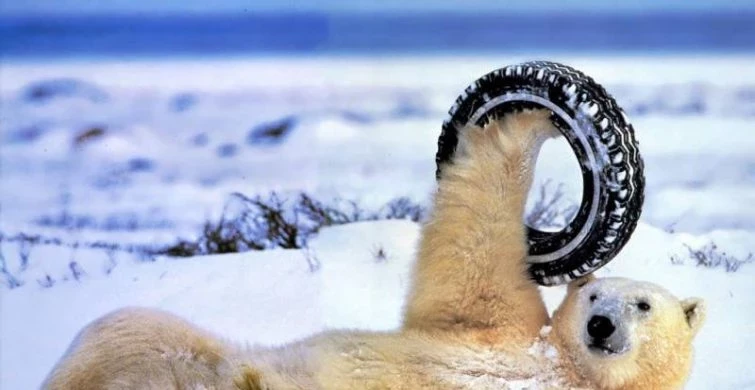 Какой сегодня праздник: 31 января отмечается несколько торжеств, в том числе церковных