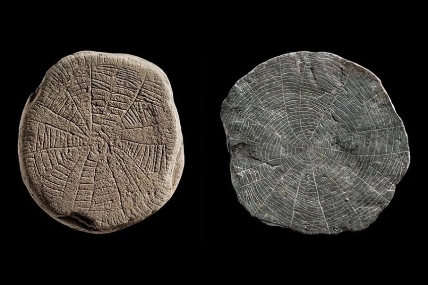 Древние гравированные камни могли быть закопаны, чтобы призвать солнце