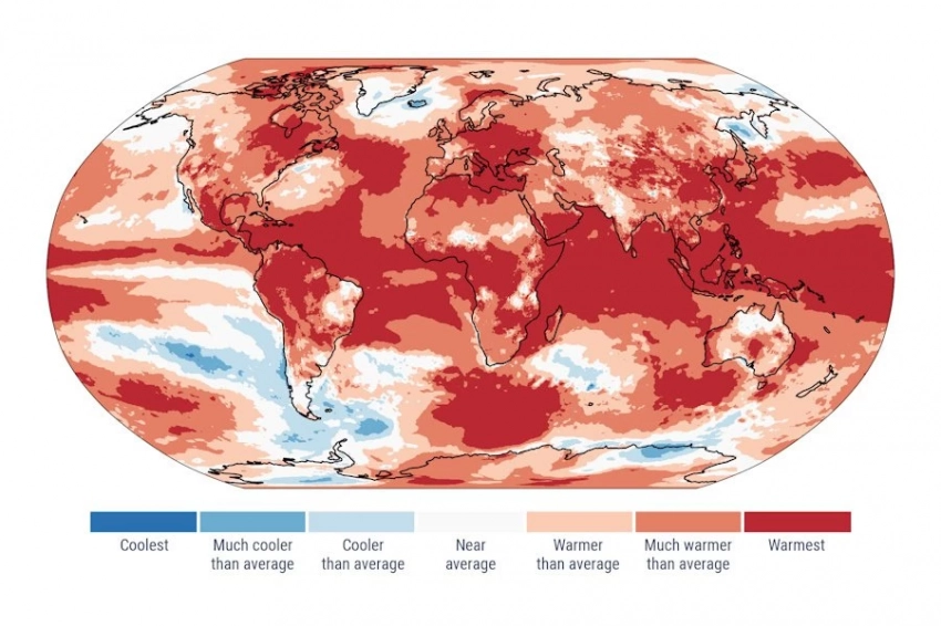 Планета на грани: температура 2024 года переписала климатические рекорды