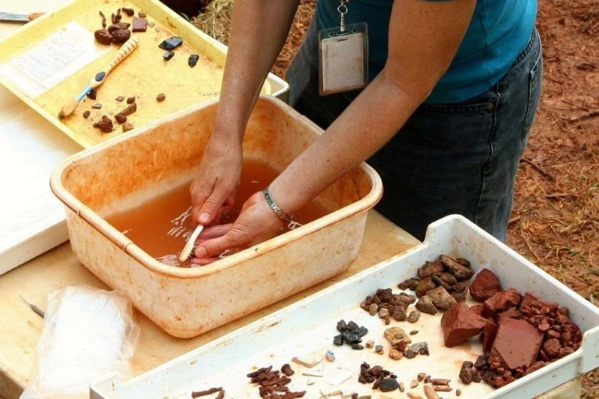 Ученые обнаружили древнее существо возрастом свыше 500 млн лет