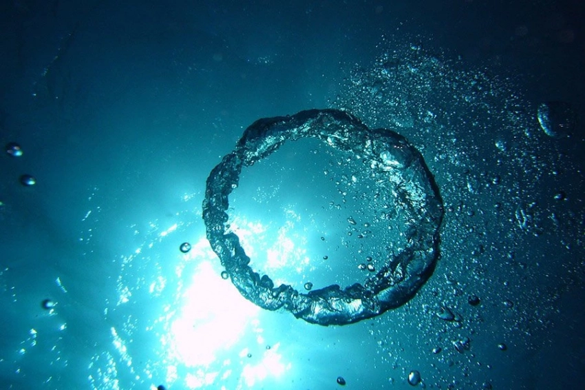 Ученые выяснили, как некоторые виды процветают в темной среде без кислорода