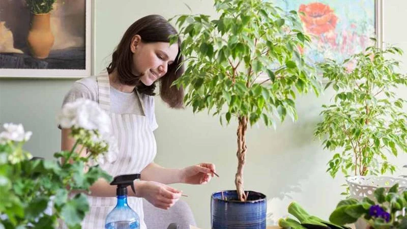 Прощай, стресс: Как задать себе 3 ключевых вопроса для обретения контроля над жизнью