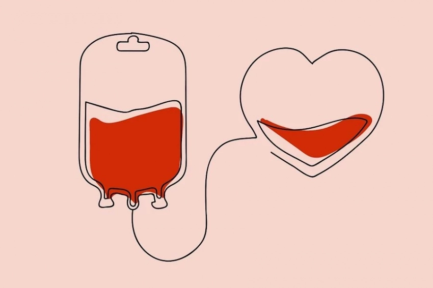 «Золотая кровь»: мифическое сокровище, спасающее жизни в реальности