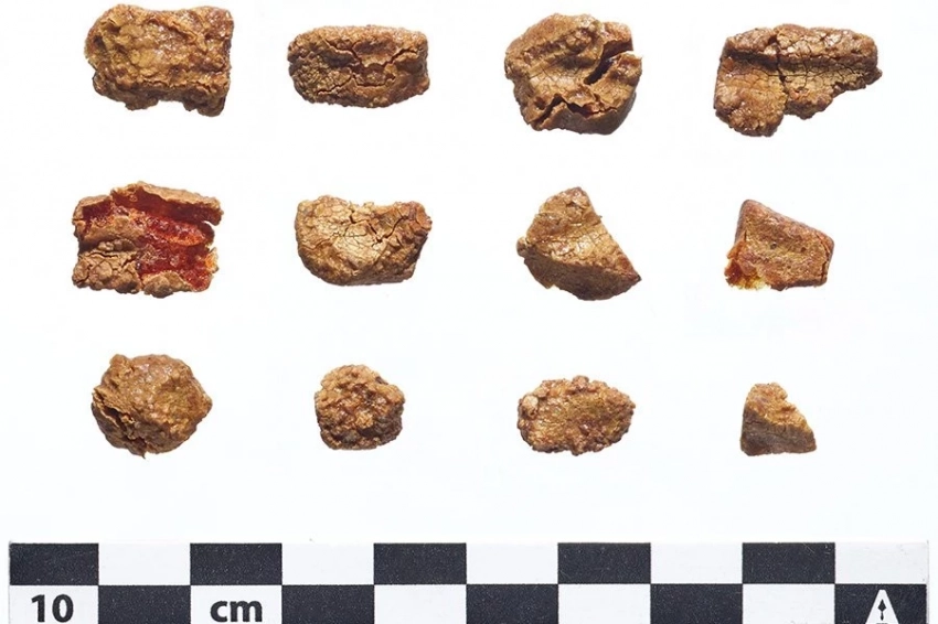 В 3000-летней урне в Сирии найдены бусины из балтийского янтаря