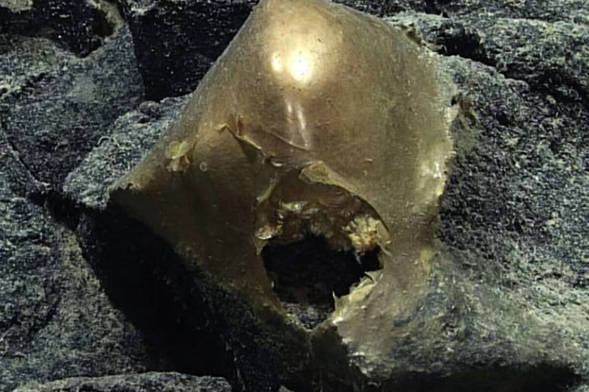 NOAA: Близ побережья Аляски найден предмет, напоминающий золотое яйцо