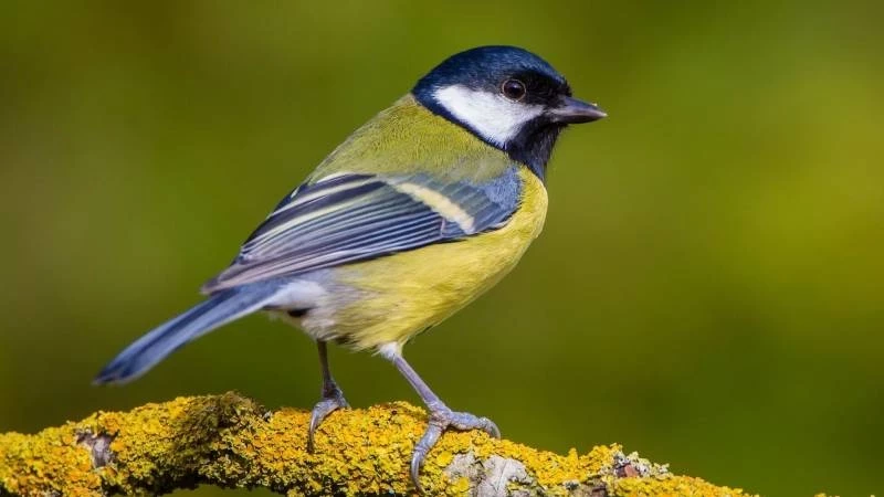 Какой сегодня праздник 7 марта 2025 года: значимые события в жизни жителей России и всего мира отмечаются в этот день