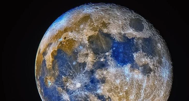 Идеальное время для пересадки: как лунный календарь помогает в уходе за комнатными растениями