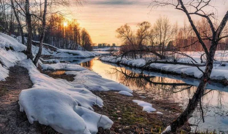 Церковь России сегодня 12 марта 2025 года празднует День памяти Василия Декаполита