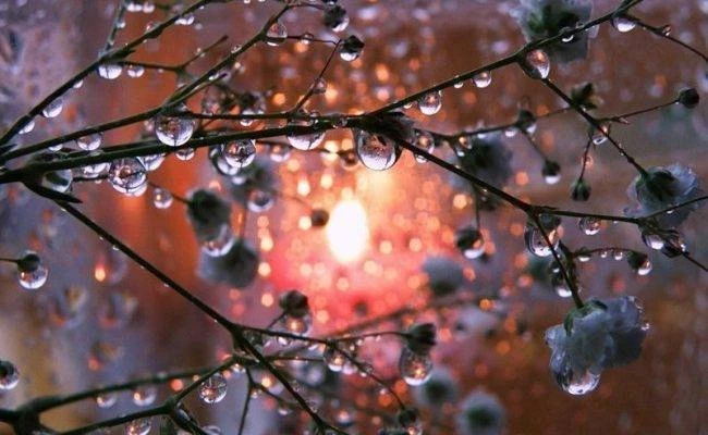 Евдокия Свистунья, Авдотья Плющиха 14 марта 2025 года славится приметами и поверьями